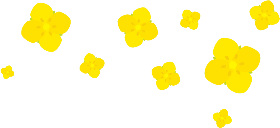 菜の花