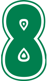 8
