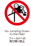 フィールドへの飛び降り禁止