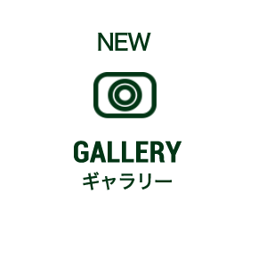ギャラリー