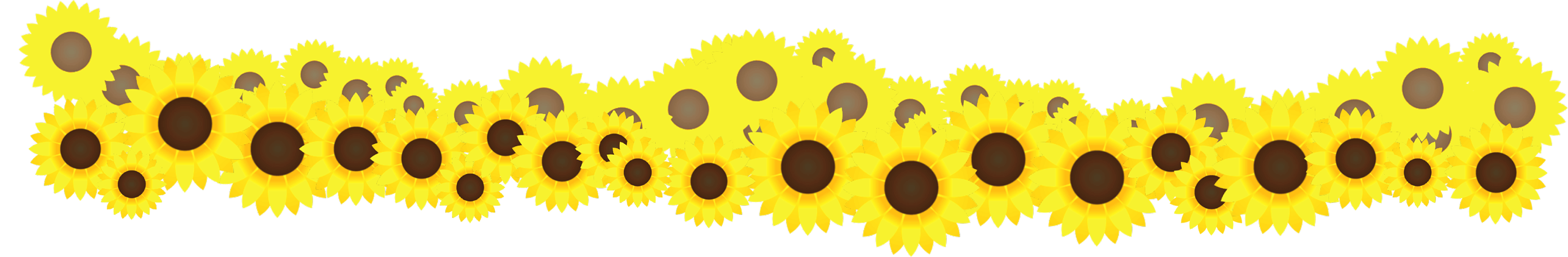 ひまわり